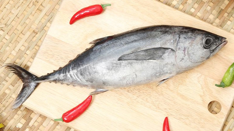 Cá ngừ chứa hàm lượng calo tương đương với các loại hải sản khác